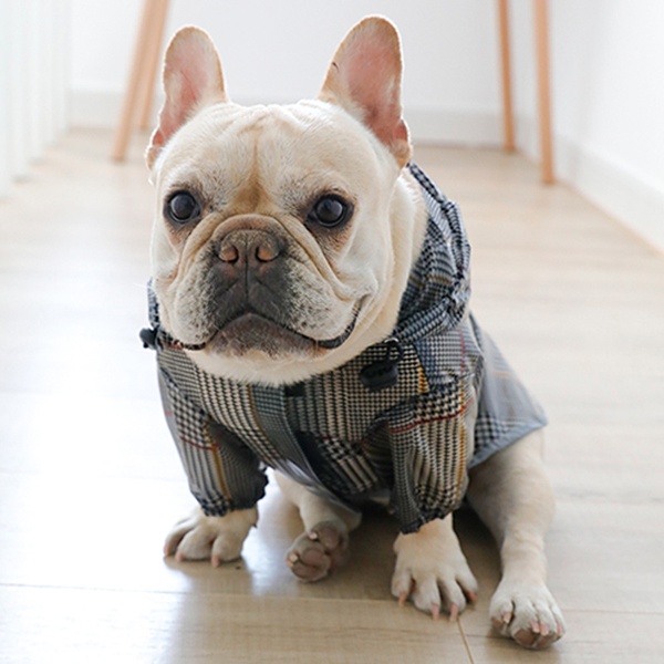 Pet Plaid Raincoat